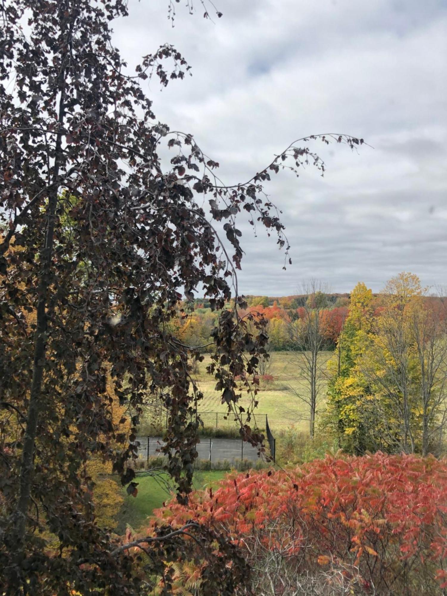 Caledon Manor And Country Inn Exterior foto